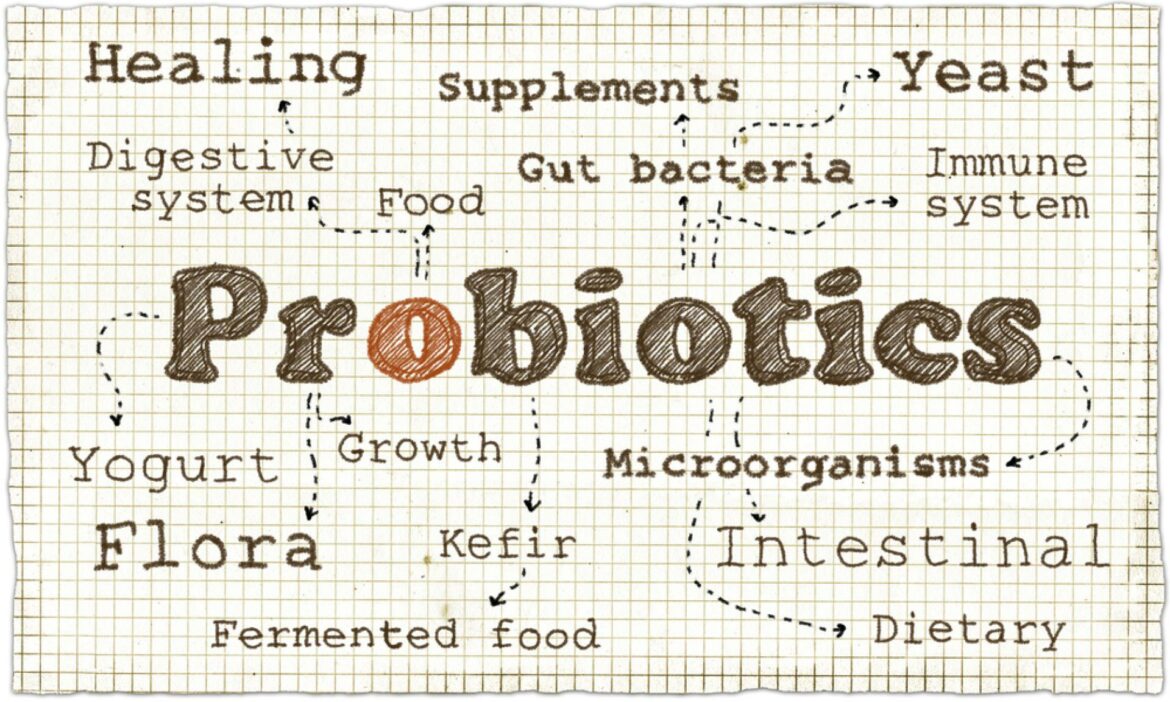 Probiotica supplementen: wat kunnen ze betekenen voor je gezondheid? probiotica